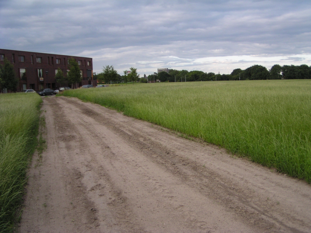 p7060064.jpg - In het lege gedeelte rechts van dat woonblok is een school met toebehoren ("spilcentrum") gepland.