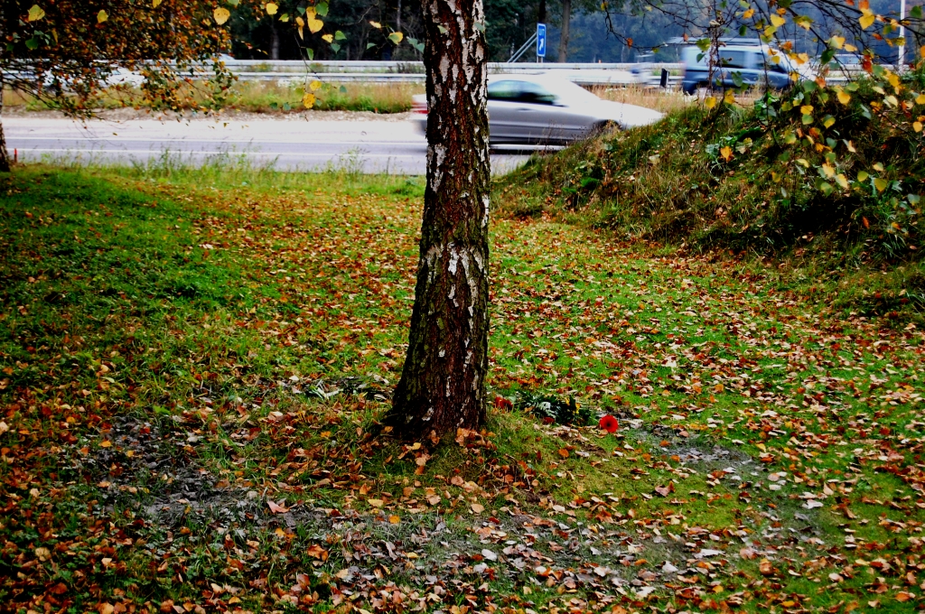 20081025-153012.jpg - Zou een bomenknuffelaar op deze manier zijn as laten uitstrooien? Het kan allemaal in het crematorium de Rijtackers, pal aan de A2.