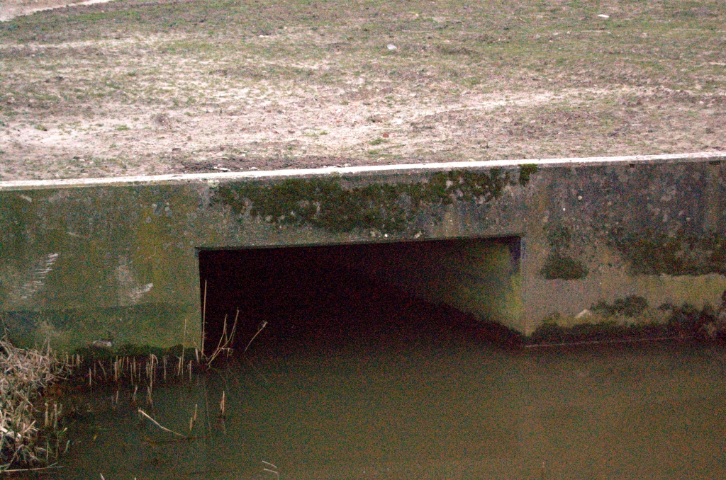 20090104-161841.jpg - De oude duiker heeft echter geen looprichels. Een Veldhovense egel die op bezoek wil bij zijn familie in Eindhoven zal dus stranden in de aansluiting Veldhoven-zuid.